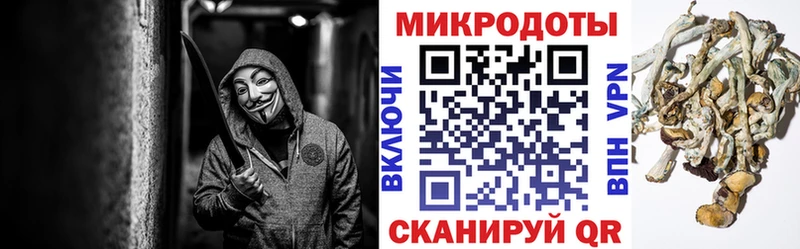 Псилоцибиновые грибы MAGIC MUSHROOMS  купить  сайты  Бобров 
