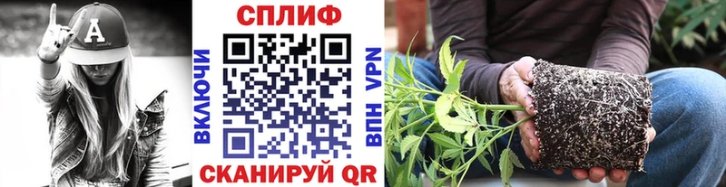 Марихуана планчик  Бобров 